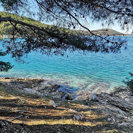 Villa Long Island Luxury Residence, Sali Dugi Otok-Private Parking,Next To Beach Экстерьер фото